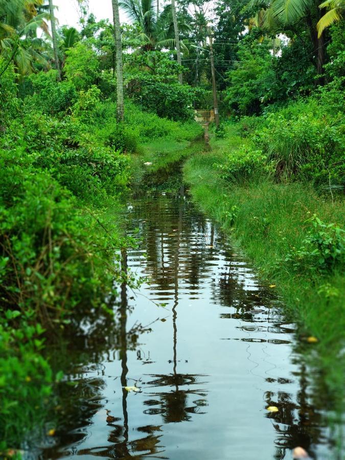 Marari Stella Vich Villa Homestay Turavur Bagian luar foto